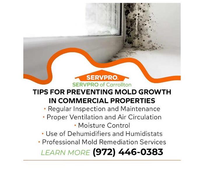 Mold infested window sill