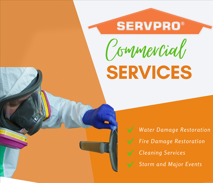Commercial Service Offerings